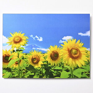 y[֑Ή 140~`zC[Y 3DT}[|XgJ[h PN-1286 Ђ܂ y q} summer A ͂  ĕ T}[J[h   svc z