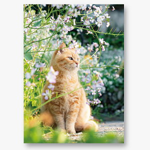 C[Y |XgJ[h L ˂ PN-1295@nKL ͂yɂ L cat 莆 ւ bZ[WJ[h   LWg@n`@gLz