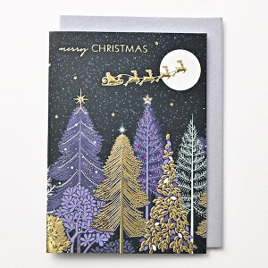 y[֑Ή 140~`zC[Y NX}X|XgJ[h c[ giJC GX-4307y k NX}Xc[ zf[ T^ Y Christmas Xmas Y  O[eBOJ[h  