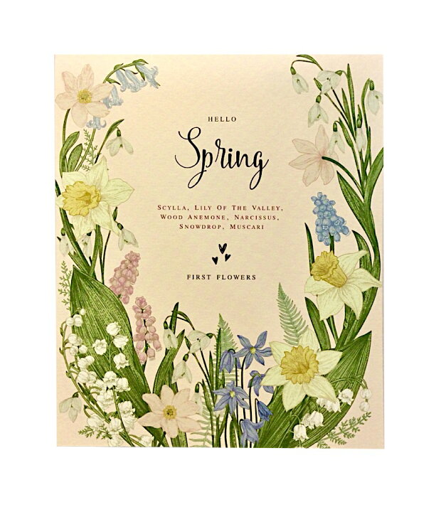 楽天市場 メール便対応可 210円 フロンティア レター 便箋 Spring 手紙 春柄 花柄 大人 上品 おしゃれ ヘンミ文具店