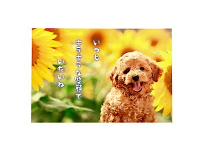 y[֑Ή 140~`zANeBu |XgJ[h v[h pn-547syĕ T}[   z