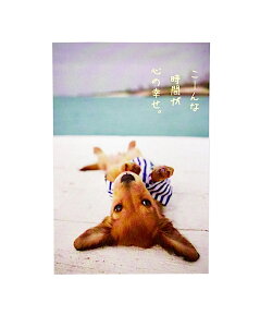 y[֑Ή 140~`zANeBu |XgJ[h Q]Ԍ pn-515syĕ T}[  c   z