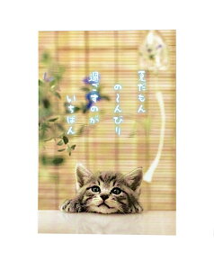 y[֑Ή 140~`zANeBu |XgJ[h Lƕ pb-502syĕ T}[   z