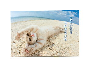 y[֑Ή 140~`zANeBu |XgJ[h ̂т̂єL pb-511syĕ T}[ @L@  z