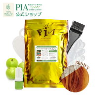 かの子のハーバル ヘナ 22番 100g～400g ★ 2袋からまとめ買い割引あり ★ [ 色： ブラウン ][ ヘナカラ…
