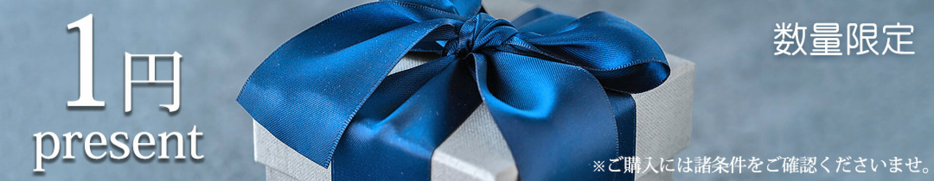 1円プレゼント商品