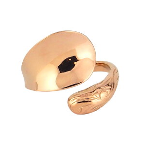 nCAWG[ O fB[X Y w nCA AM[ T[WJXeX bvO I[vO   ςȂ XN[ jp 