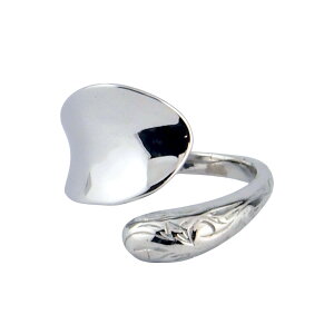 nCAWG[ O fB[X Y w nCA AM[ T[WJXeX bvO I[vO   ςȂ XN[ jp 