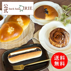 【P2倍】詰め合わせ 手土産 プレゼント パン※同梱不可 ※冷凍 BICP-20Fあんバター シナモンロール チョコパン クリームパン5個セット【バックハウスイリエ-back haus IRIE-】