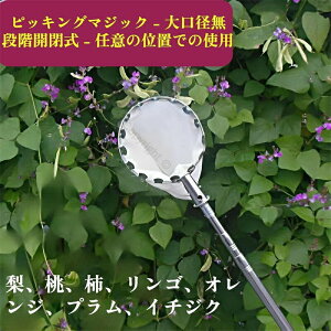 t[csbJ[ Lk }؂΂ } ʕ nc[ sbLOc[ y x[sbJ[ ʎpt[csbJ[ ʕLb`[ @\npi |p}؂΂