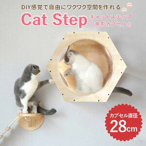 LbgXebv Ǖt Lp nEX nbN LbgEH[N  28cm I I Lbg^[ ؐ DIY xbh L̗VяɍœKȈS݌vőϋvQ̕Ǌ|^Cv