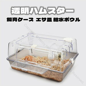 nX^[P[W nX^[nEX 炩 LAN gȒP  55cm Ot ݌v GTM {Et VvfUCŉK