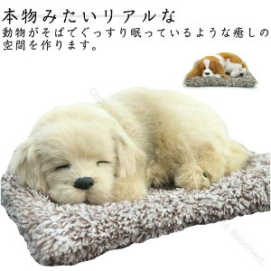 車用消臭剤 脱臭剤 家用 車用 本物の動物みたい 消臭炭 猫 犬 置物 パンダ 消臭剤 ナノ結晶質 ナノ結晶性 ナノサイズ結晶 ナノ微結晶消臭 車 無香性 空気清浄 フォルムアルデヒド除去 部屋