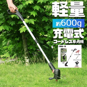 [d@ R[hX@ eʃobe y0.6kg Lk@\t jΉ Ў葀\  2025ŐVf 2֐nt ߎG΍pi