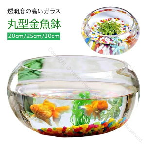 高透明度 丸型金魚鉢 水槽 小型水槽 飼育水槽 ミニ水槽 ガラス製 メダカ鉢 透明 おしゃれ 丸鉢 金魚 ベタ メダカ 鉢 花瓶 フラワーベース 和風 可愛い テーブル用 アクアリウム ボウル 観葉植