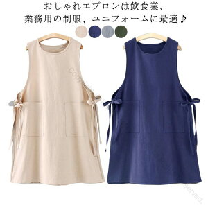 Gv  JWA [NGv Vv ̌^Jo[ |Pbgt Ԃ^Cv TCY\ }} EȒP ۈm ꂳ n 50 20 30 40 ۈ牀 fC[g 