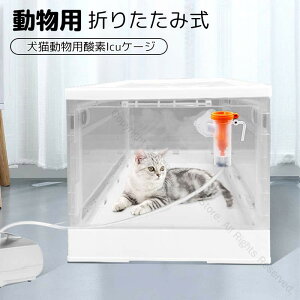 ybgLp_fICUP[W luCU[{bNX PċzÑΉ ܂肽ݎ ybgp_f{bNX ƒp ^ybgpi 2.5KG~12.5KGΉݑPA