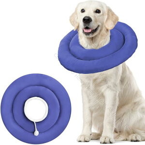 GUxXJ[ Lp p y \tg ^ h pPA ی ~h~ rߖh~ ݂h~ یJ[ pi TCY LxȃJ[ I[V[YΉ KŃX