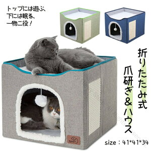 Vio LnEX t L̗Vя lR̗Vn ybgxbh ܌ ~ 킢 K qL ^L ʔNΉ ybgpi ܂݉ 􂦂 w\ ߂Ƃ Ƌjh