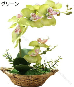 胡蝶蘭 人工観葉植物 光触媒加工 造花 卓上型 船型の鉢植 石鉢インテリア フェイク シルクフラワー 新築祝い お開店祝いギフトに最適 プレゼント 敬老の日 緑 置物