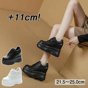 Xj[J[ 10cm gup fB[X Cq[Xj[J[ EH[LOV[Y q[Abv C _CGbgXj[J[ PUU[ JWA   ₷ Vv NbV