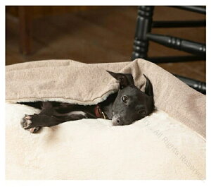  xbh Q   xbh ybg ybgxbh p L Lp zc xbg ybgxbg NbV  ObY  t ӂƂ nEX ybgnEX Vv ӂ