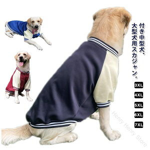 XJW ~  WPbg hbOEFA H ~  g ^ p AE^[ ^ ybgEFA Wp[ t Xibv{^  ybg ˂ p X^W 