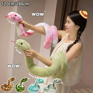 ւ ʂ  ʂ 120cm 180cm A wr̂ wrl` D ʂ 2025N x N u _炩 wr  NbV N N l q 