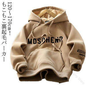 NуvI[o[p[J[ {Ap[J[ ̎q j̎q q 120 130 140 150 160 170 g  h XEFbg H~ ~ t[h  WjA gbvX