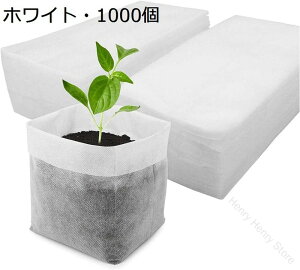 1000sDzc|bgobO c|bg c|bgobO sDzv^ |v^[ |pi ۊǑ p ʕp ԗp ؗp A琬iɍœKȍi