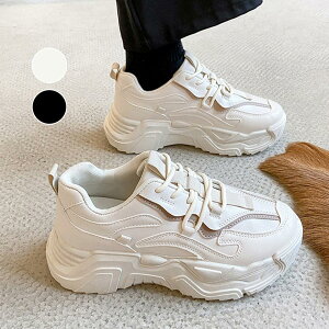 _bhXj[J[ fB[X {[fUC yʂŕ₷ ȃJWAV[Y ʋΒʊw╁igɍœK