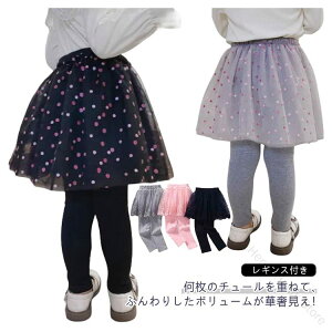 MXt킢MXpcLbY`[XJ[gXJbcLbY̎qXpbc``H``XJ[gxr[WjAXJ[gqǂ{gXtăXJ[