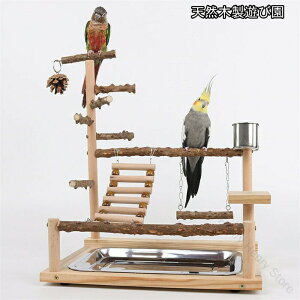 45cm CRVя Owo[hAX`bNߋX^h~܂؂͂JSVnH烉_[x̑IEuRObYZLZCCRpAX`bNߋX^