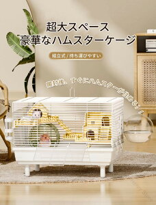 nX^[P[W LԂŎRɓ铧fUC gŗlXȃX^C̑gݍ킹\ ^т₷ʋC|₷GRȃANP[W