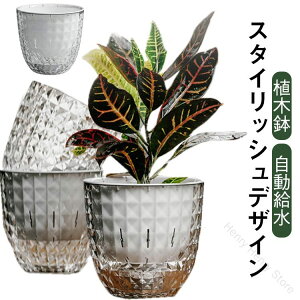 v^[ Aؔ vX`bN  t[ |bg A ʋCt ʋ|bg X^CbVfUC NA   ϗtA JtF X  CeA