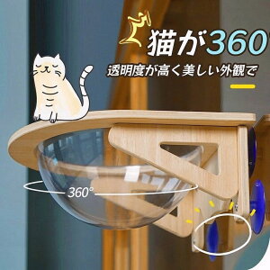 Lp nbN L ybgp FD^ Lxbh xbh ͋z  NA{E  t^Cv zՃnbN ω׏d 20kg   lC 킢    ؐ Q v[