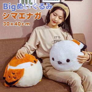 V}GiK V} GiK 30cm*40cm BIGʂ  Ƃ g ʂ ObY n kCV}GiK  킢 rbOʂ  ǂ̓ av[g N