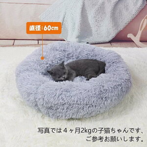 L xbh ybgxbh ӂӂ  h[ L h[ ybg zc 咆^ L ybgpi lR xbh  ybgnEX Lxbh pxbh }bg NbV h   