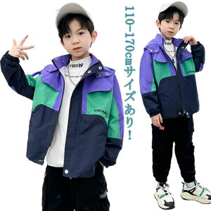 EChu[J[ h t[ht q }Eep[J[ zF u] 㒅 bV LbYAE^[ WPbg LbY t ʊw w t oZ  }Eep[J[ 