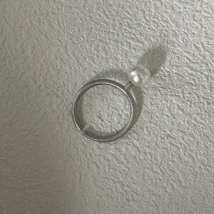 yfAT[Nz^ Wp[ O@w ANZT[ Vo[ obNp[@AR 蕨 v[g nhCh 