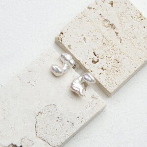 y cCXgobN _up[sAXiVo[jzobNp[@CO@sAX@Wp[@^ANZT[@Vo[ 蕨 v[g nhCh  tbNs