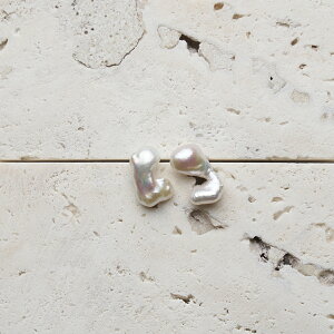 y cCXgobN _up[sAXiVo[jzobNp[@CO@sAX@Wp[@^ANZT[@Vo[ 蕨 v[g nhCh  tbNs