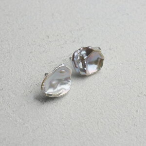 y ЂЂobNp[sAXiO[×sNnjzobNp[@CO@sAX@Wp[@^ANZT[@Vo[ 蕨 v[g nhCh  tbN