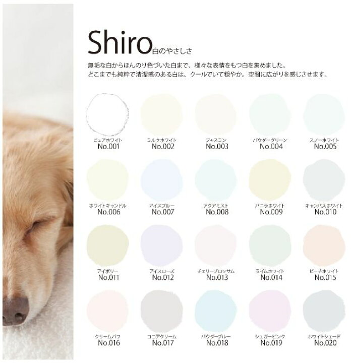 楽天市場 イサム Airfresh エアフレッシュ Shiro 白のやさしさ No 0ホワイトシェード 1kg イサム塗料 ハイブリッド型光触媒内装用塗料 消臭効果 抗菌効果 抗カビ効果 ウイルス抑制効果 Paint Pro