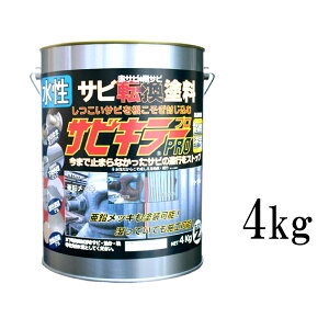 yz TrL[PRO Vo[ [ 4kg ] BAN-ZI TrL[v F v pro 