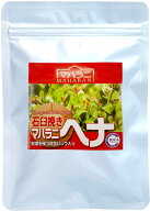 新発売【新ロット】25年収穫 マハラニヘナ/ 石臼挽きヘナ 100g（Lot No.25）【メール便送付対応】