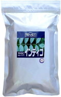 【新ロット】25年収穫　マハラニインディゴ　（Lot 25）500g【おまとめ値引対象品】