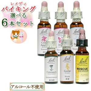 yybgpzob`t[fB oCLO 6{Zbg XL[ybgIׂ܂