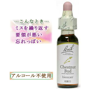 ob`t[fB `FXgibgobg ObY-ւ̖֐S 10ml 1{