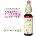 バッチフラワーレメディ ラーチ 癒しグッズ-失意と絶望 10ml 1本